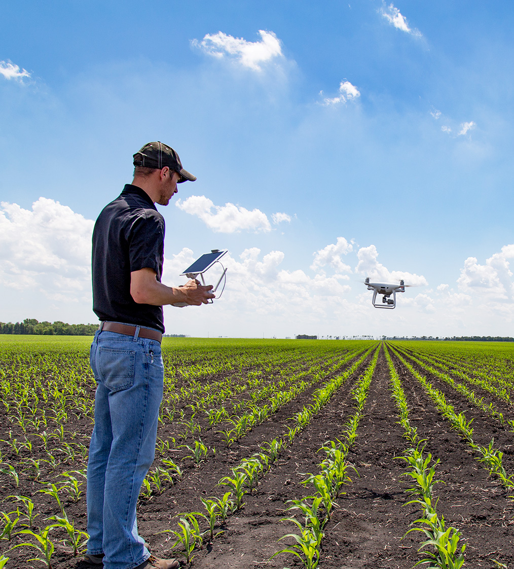 Digital agriculture using drones in the field 