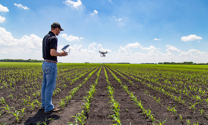 a person using drone in fields