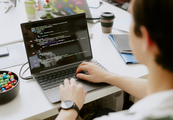 we provide expert Bootstrap Development Services