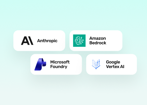 Deployment options: Anthropic, Amazon Bedrock, Microsoft Foundry and Google Vertex AI